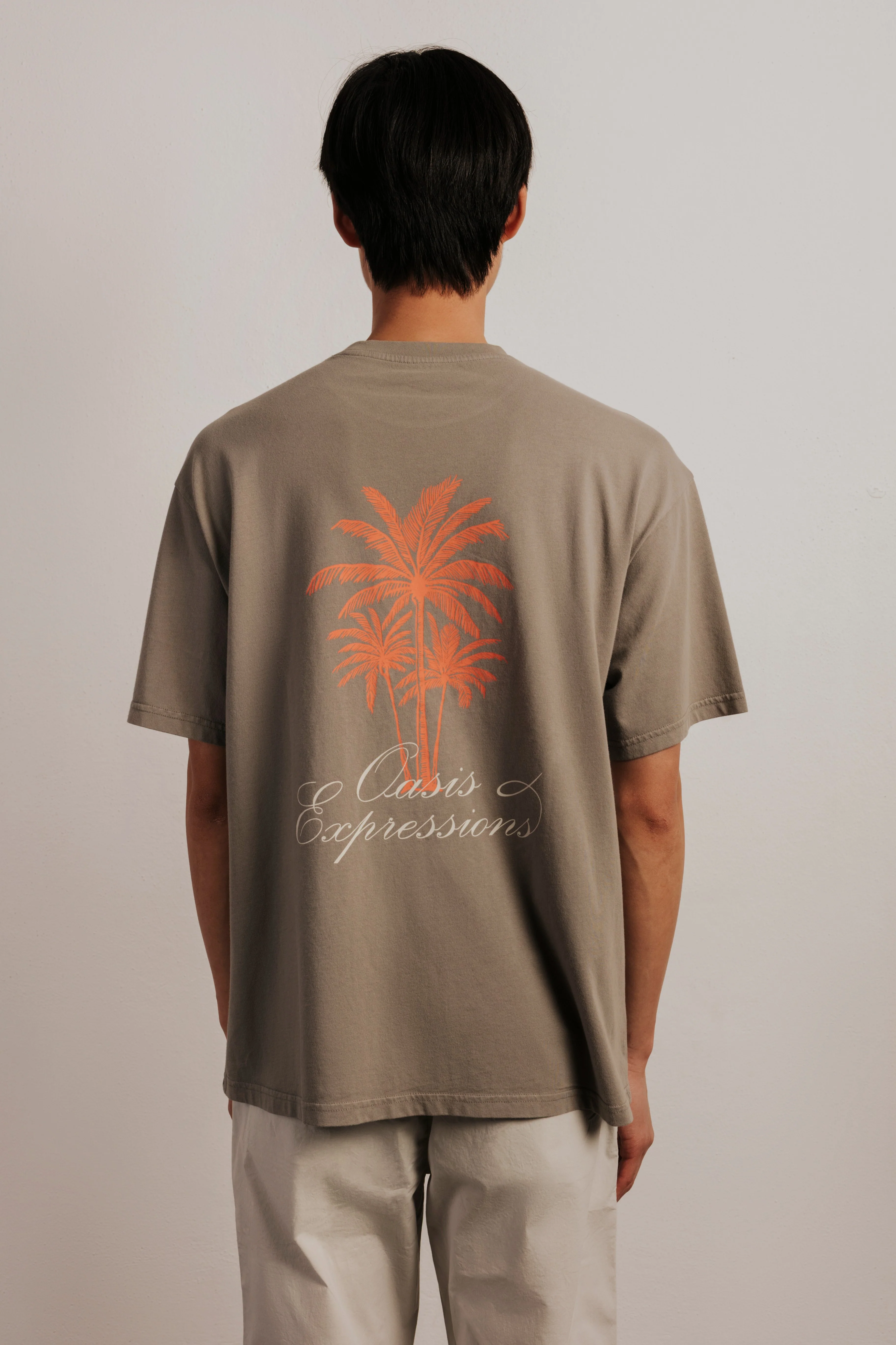 Camisetas lisas